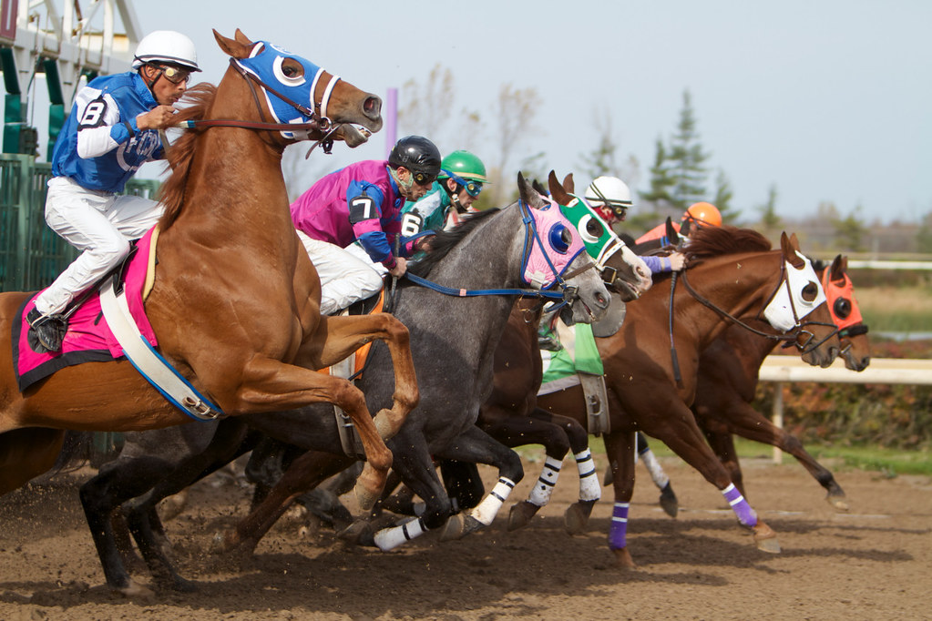 Ajax Downs Quarter Horse Racing Switches To Mondays 