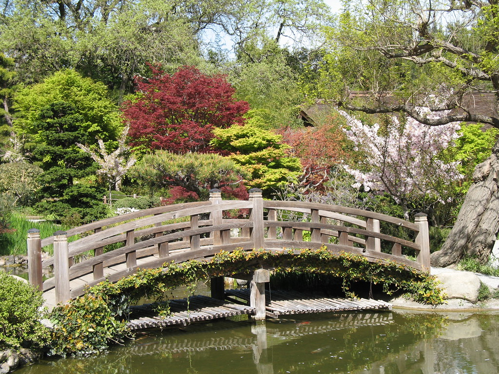 Hakone Japanese Garden | Saratoga, California | Bunny8907 | Flickr