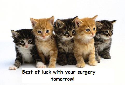 good luck with surgery clipart - photo #49