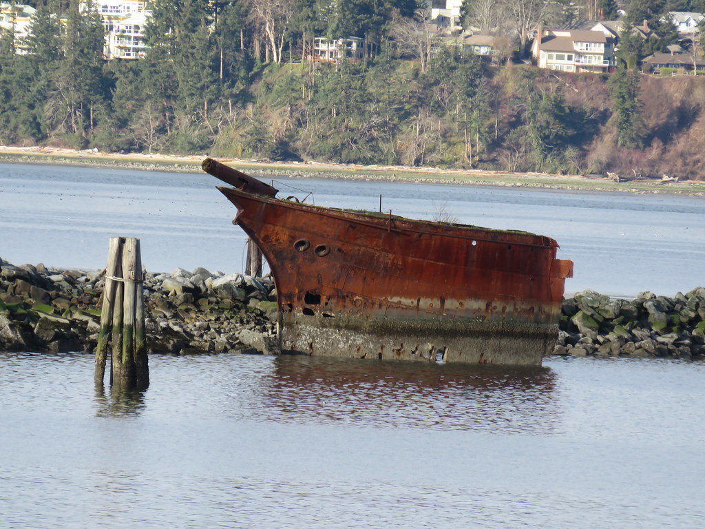 Ship Wrecks
