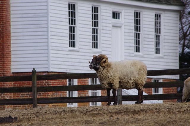 Visit the park's Farm and Forestry Museum at Chippokes State Park, Virginia