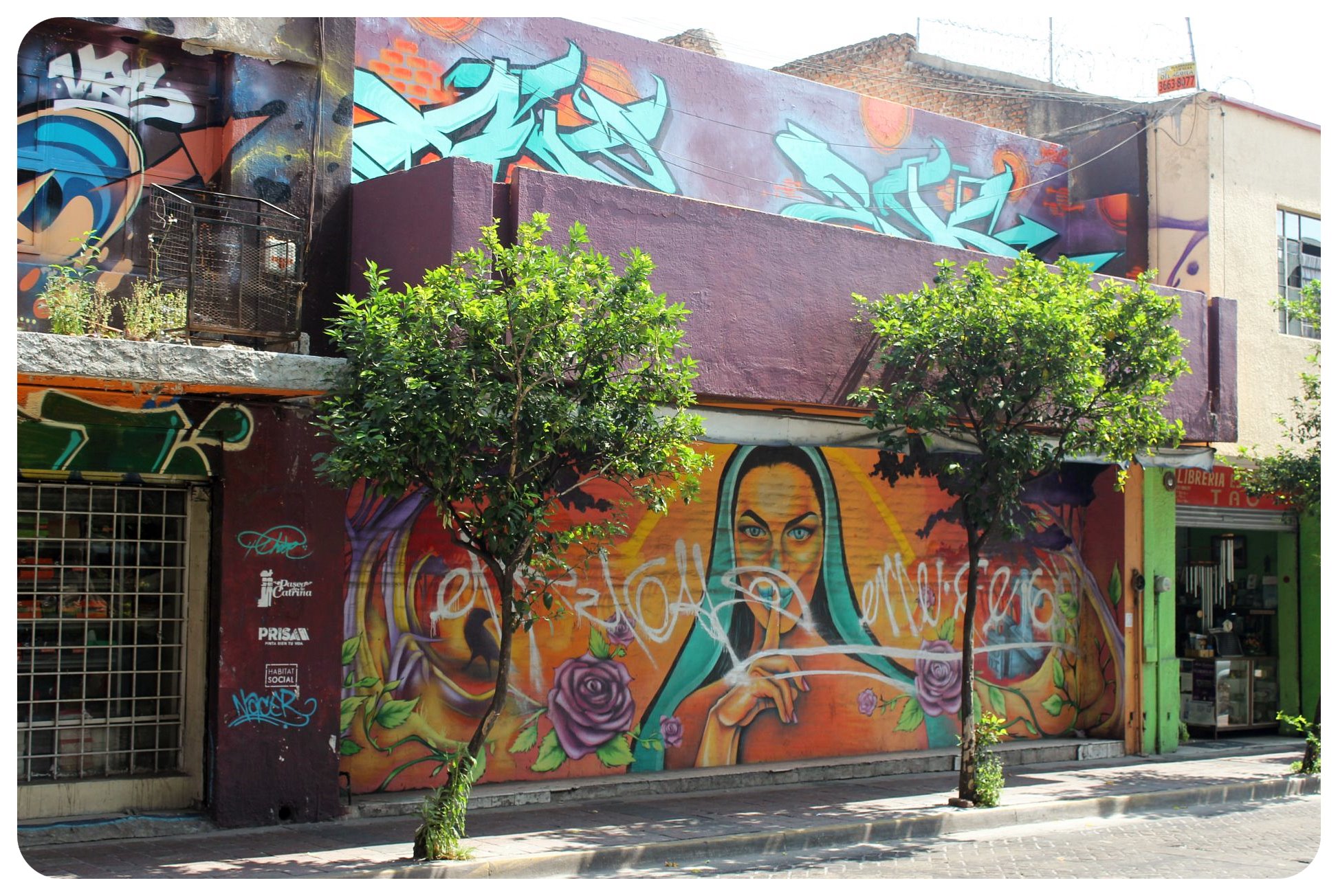 guadalajara street art