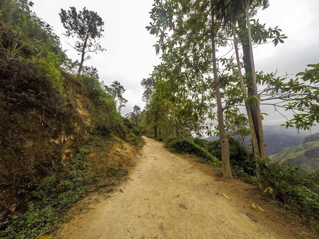 Path to Mini Adam's Peak in Ella, Sri Lanka