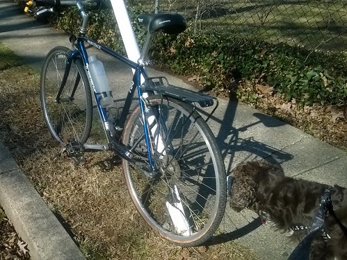 Bike in neighborhood