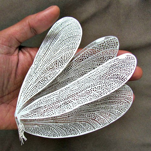 Papercut Moth by Parth Kothekar