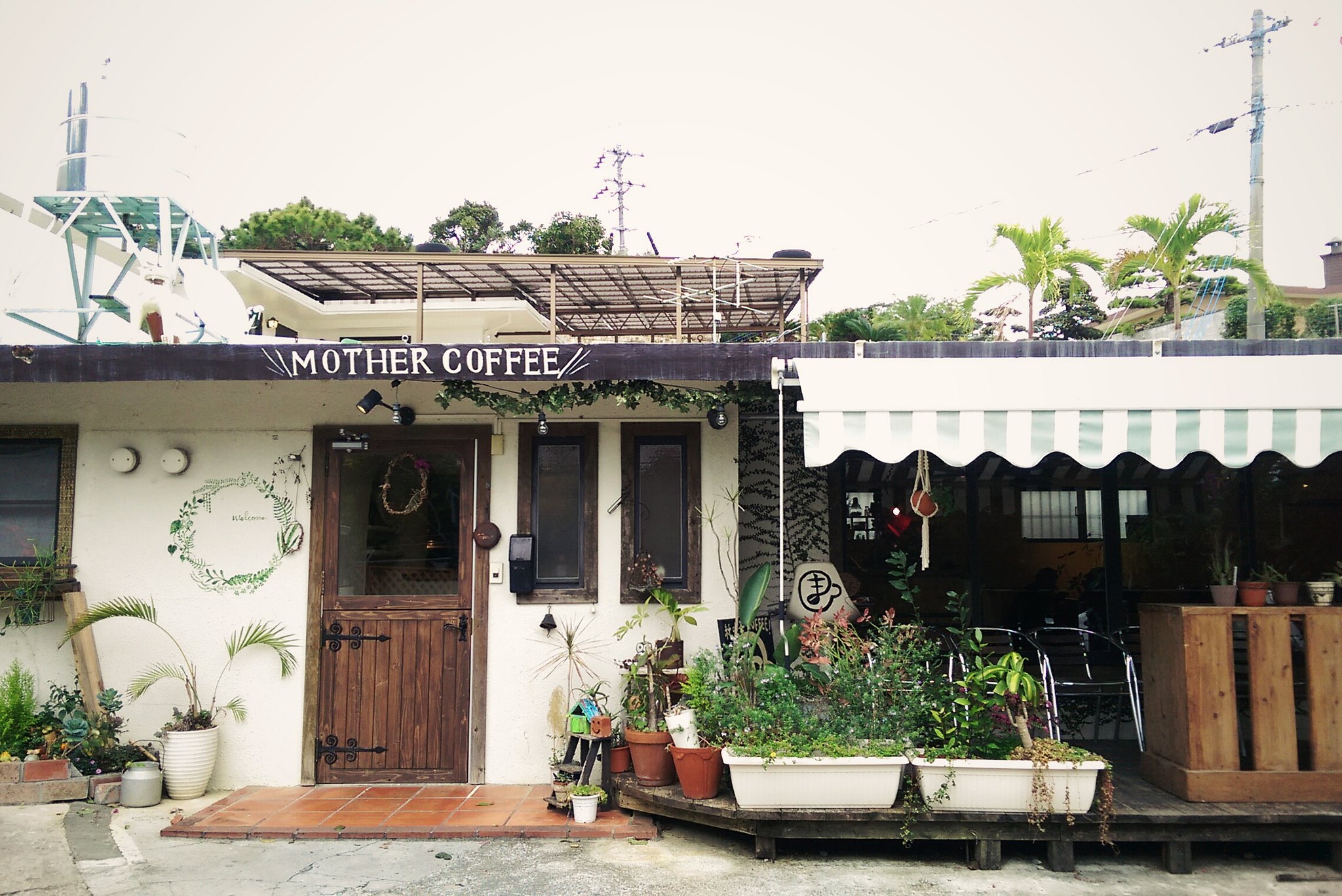 okinawa mother coffee