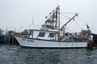 Capt. Peter Typical Morro Bay Fishing Boat 19Sept2009. 200… | Flickr