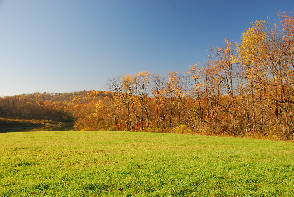 Cross Creek Fall Colors | Cross Creek Park near Avella Pa.co… | Flickr