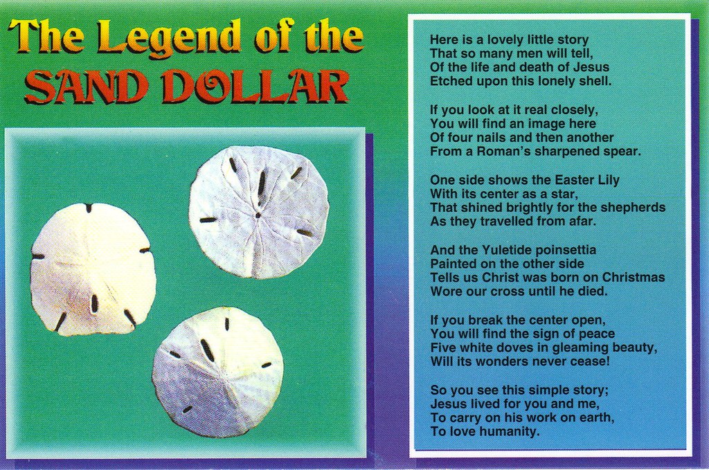 Sand Dollar Legend postcard available The Legend of the … Flickr