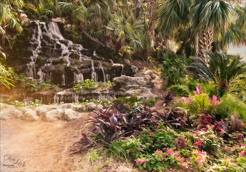 Image of Waterfall at Ormond Memorial Gardens