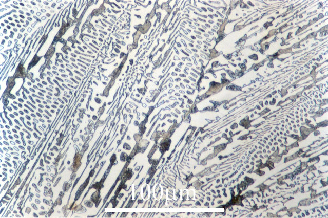 x matrix DoITPoMS transformed cast  ledeburite  Fully iron