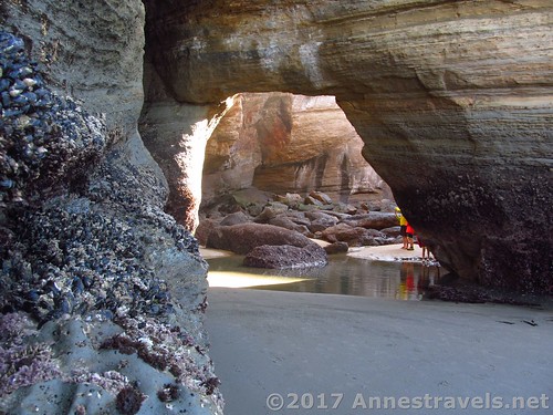 Sea side sea arch approached from the sea cave into the Punchbowl, Oregon