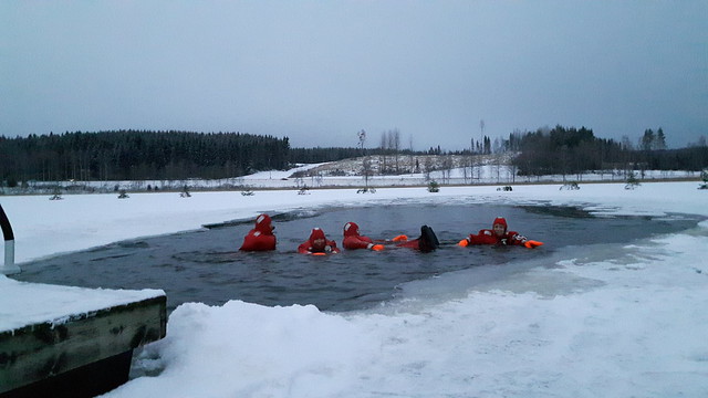 Arctic swimming