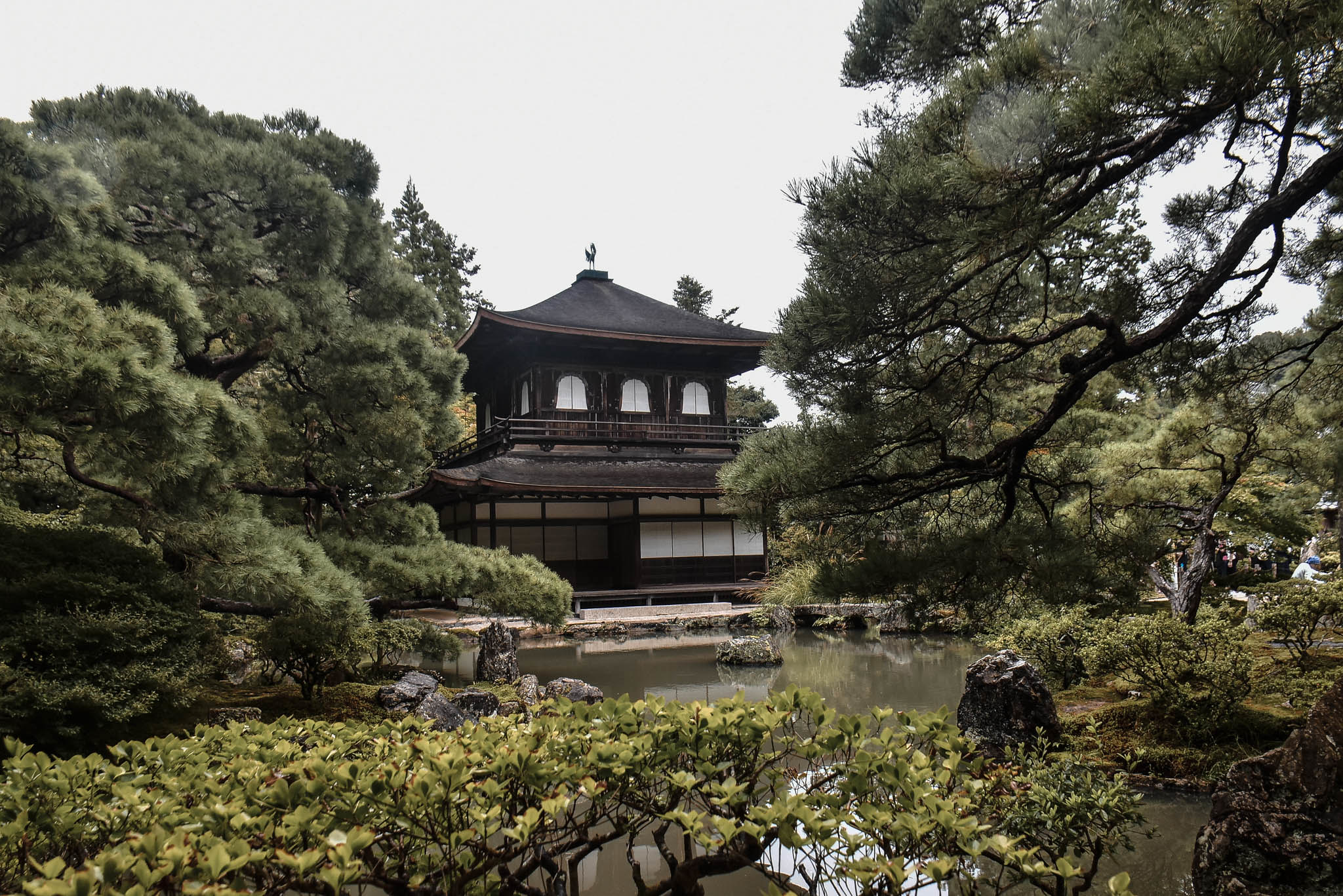 kyoto palace 19 (1 of 1)