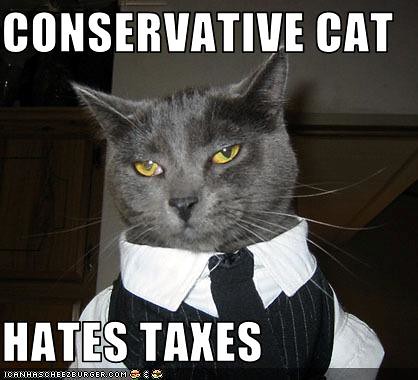 Image result for conservative cats