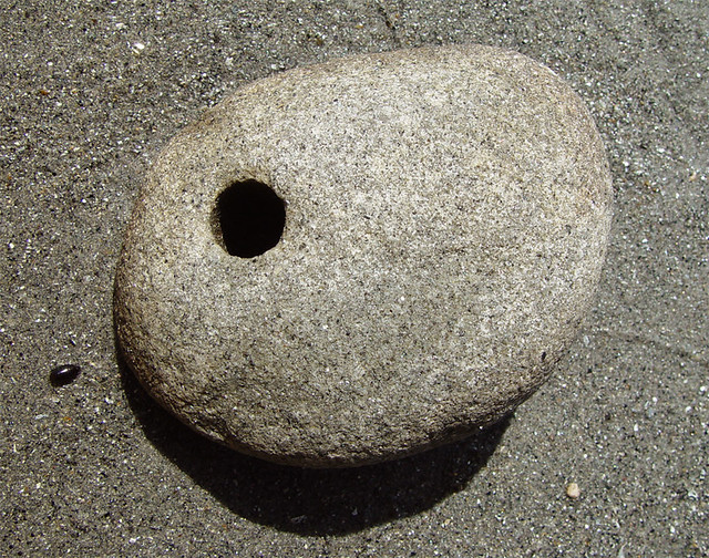 Beach Rock with Hole | These holes are made by burrowing mol… | Flickr