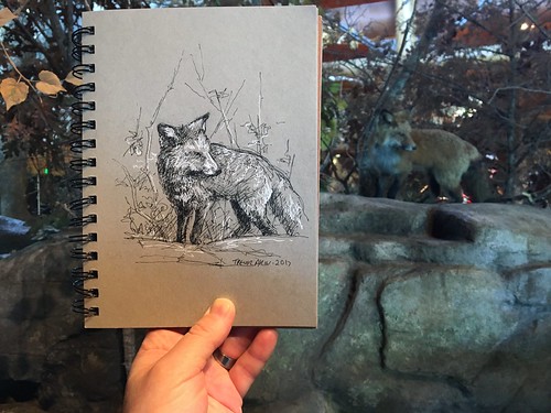 When you want to sketch nature, but it's below freezing, Bass Pro Shop.
