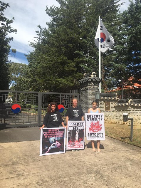 Canberra, Australia Korean Embassy Protest the horrific & cruel dog meat trade in South Korea! – February 9, 2017