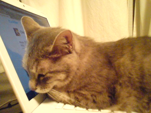 Sleep on a MacBook
