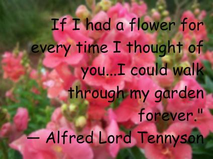 alfred Lord Tennyson Quote Love | background photo by me | Flickr