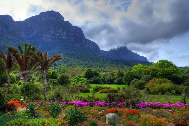 Kirstenbosch National Botanical Garden - Cape Town | Flickr
