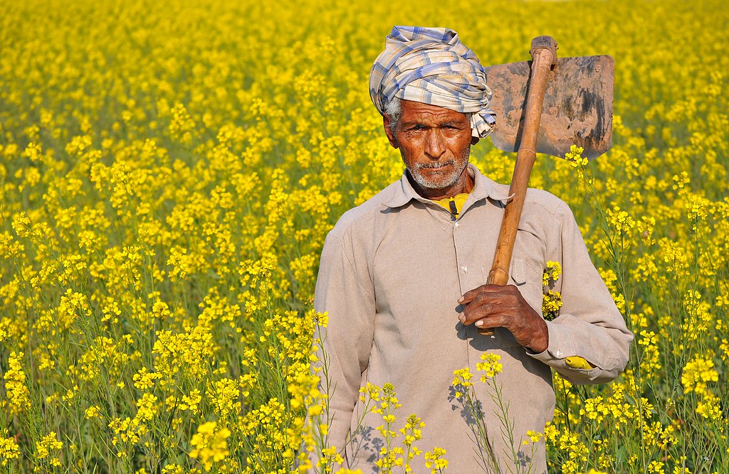 The Indian Farmer  Photo  20000 Views An Indian farmer  