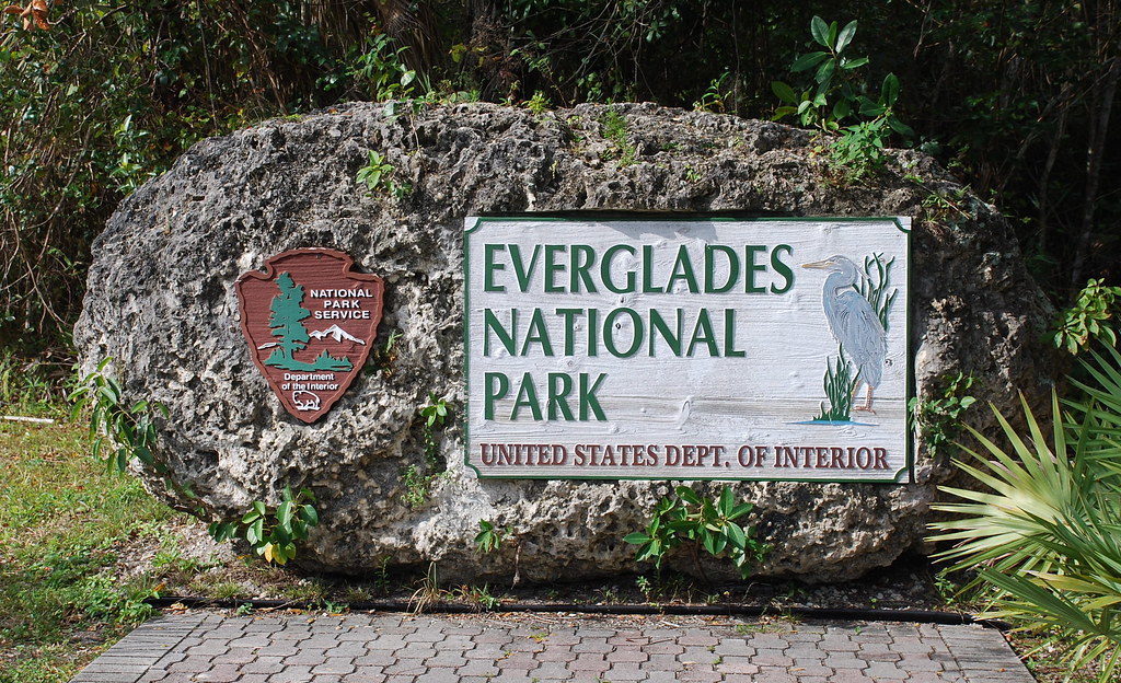 Image result for everglades national park
