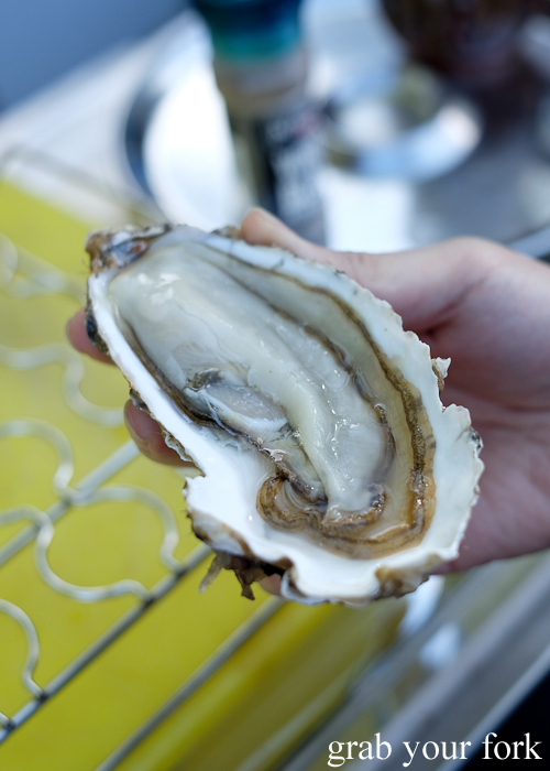 Six year old Grande freshly shucked oyster at the Salamanca Market in Hobart