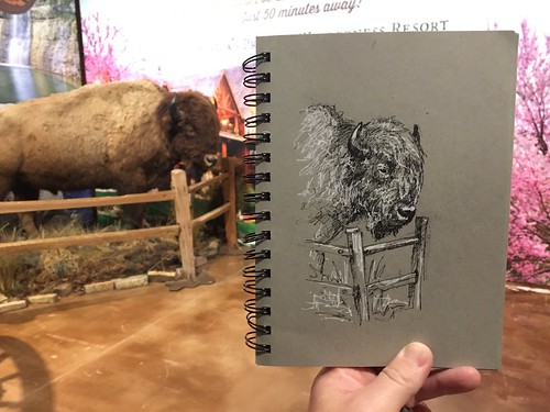When you want to sketch nature, but it's below freezing, Bass Pro Shop.