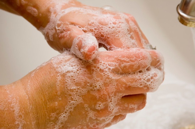 Hands covered with suds in sink demonstrating washing of hands