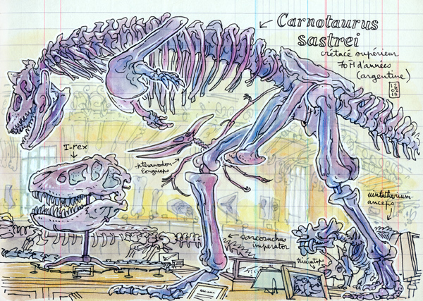 galerie de paléontologie