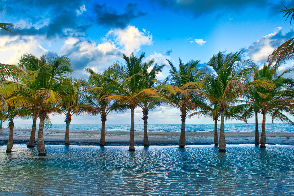 Miami Beach, Florida | Eddy | Flickr