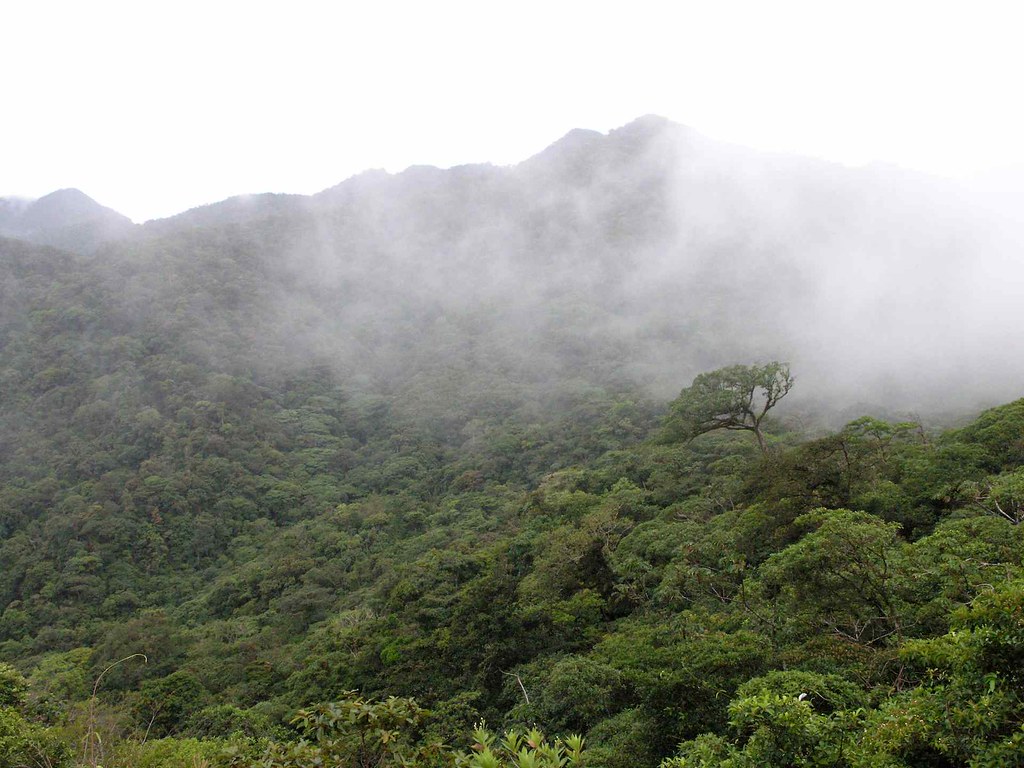 Parque Nacional Omar Torrijos, El Copé, Coclé, Panamá | Flickr