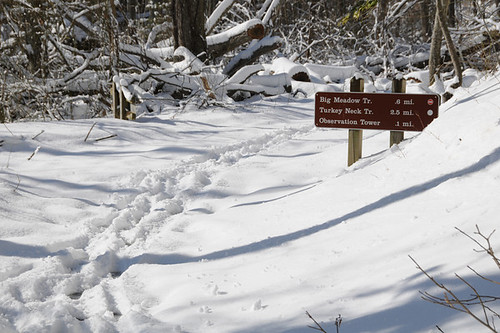 Snow covered trails at Westmoreland State Park
