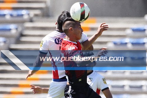IMG_1118 [Liga de Nuevos Talentos CL2017 J7] Lobos PREPA vs Coyotes de Tlaxcala | Segunda División Profesional Lobos BUAP Fotografías Mara González / Manuel Vela para Mv Fotografía Profesional / Edición y retoque www.pueblaexpres.com