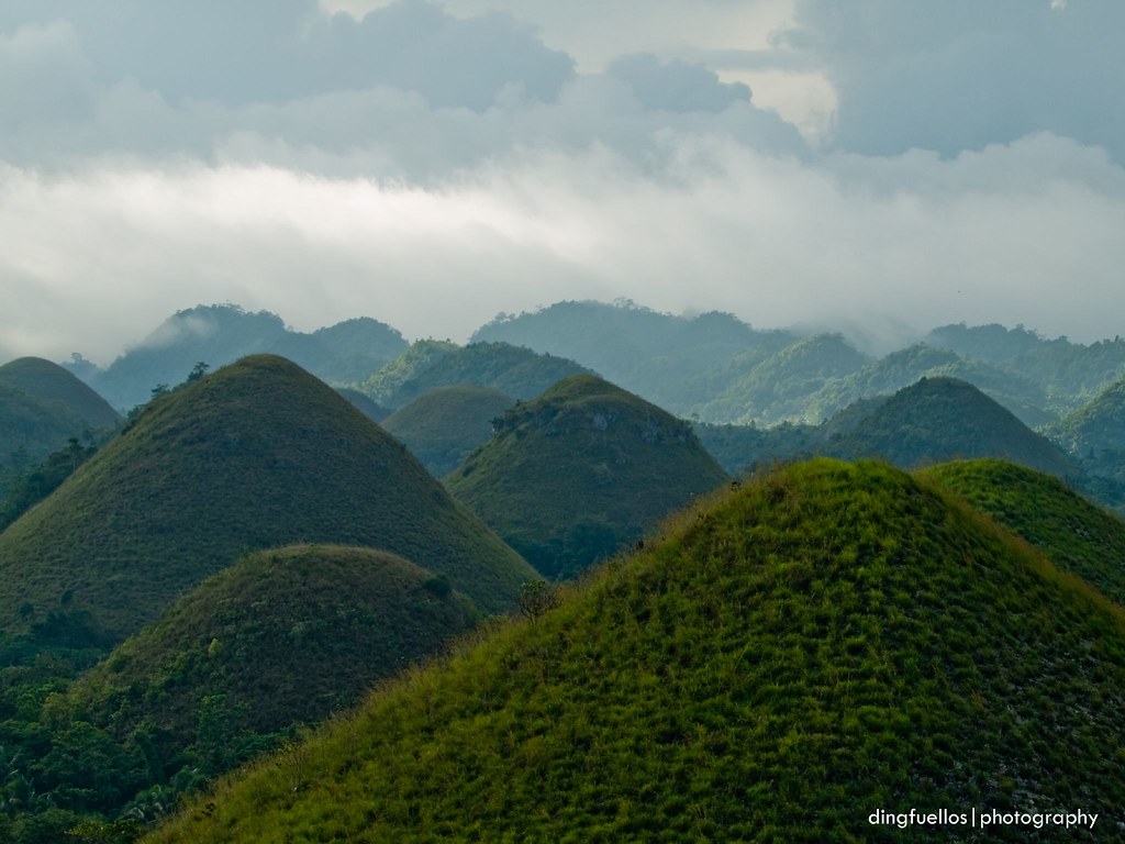 ang mga alun-along burol ng Carmen | See the rest of Bohol S… | Flickr