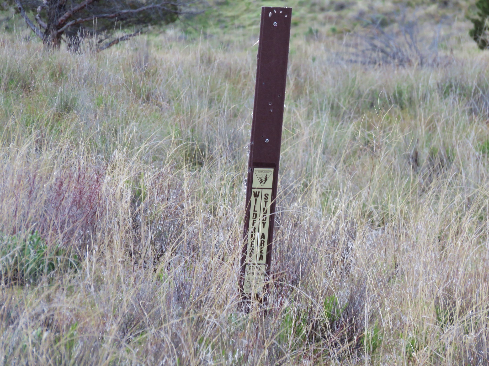 Wilderness signpost at the Spring Basin Wilderness
