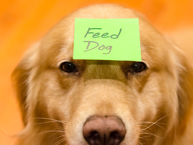 Feed Dog