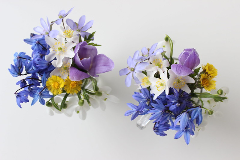 Spring flowers / etdrysskanel.com