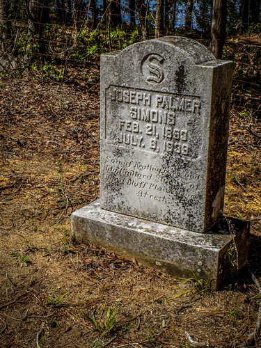 Joseph Simons Grave-002