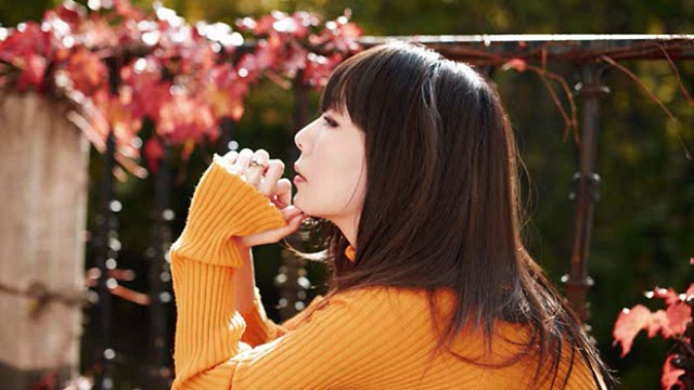 Aiko Japanese Singer