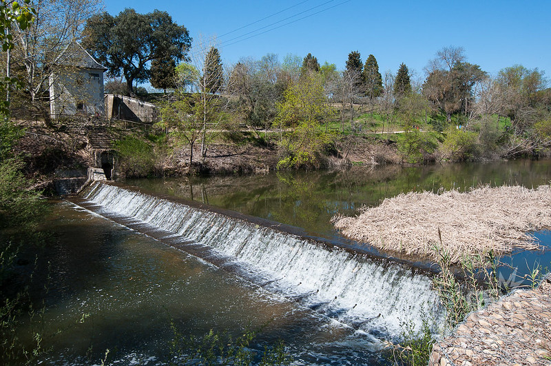 Corredor Ambiental del río Manzanares en El Pardo