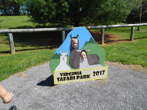 April 28 2017 Safari Park Field Trip 2nd Grade (13)