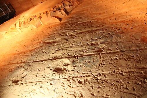 Dinosaur Stampede Footprints
