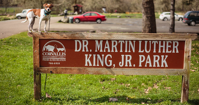 Martin Luther King Jr Park-4290