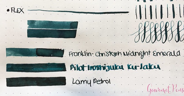 Ink Shot Review Franklin-Christoph Midnight Emerald @1901FC 8