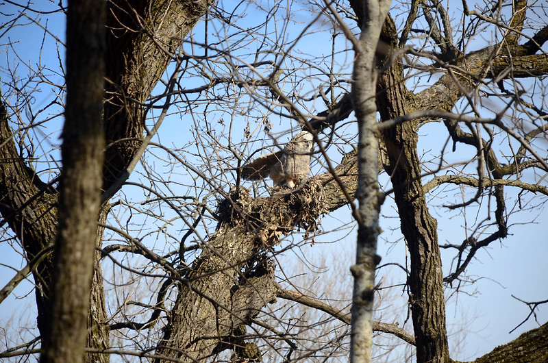 DSC_9733.jpg