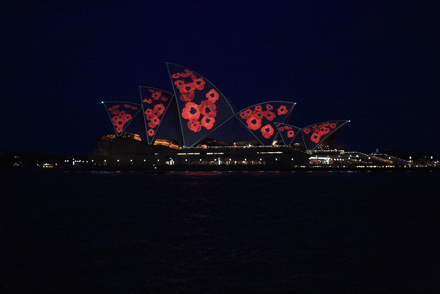 Poppies on the Opera House