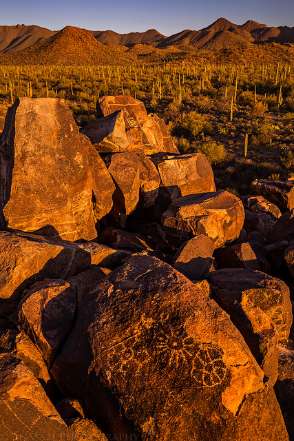 Saguaro Petroglyph Sunset