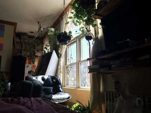 Waking up to plants (April 3 2016)